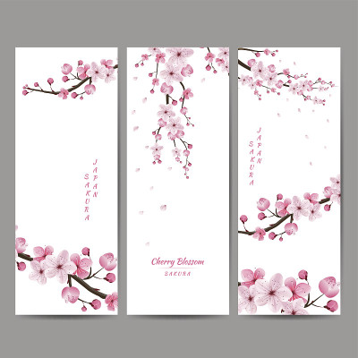 樱花集合