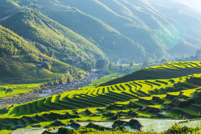 梯田之间的山谷。