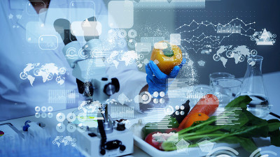 生物技术的概念。食品科技。营养科学。