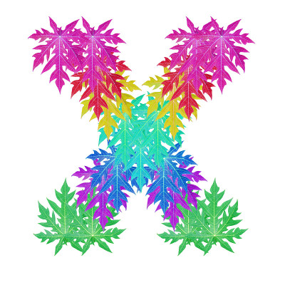 彩叶X字母字符。