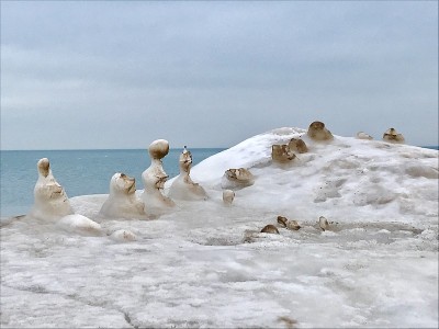 雪Penquins