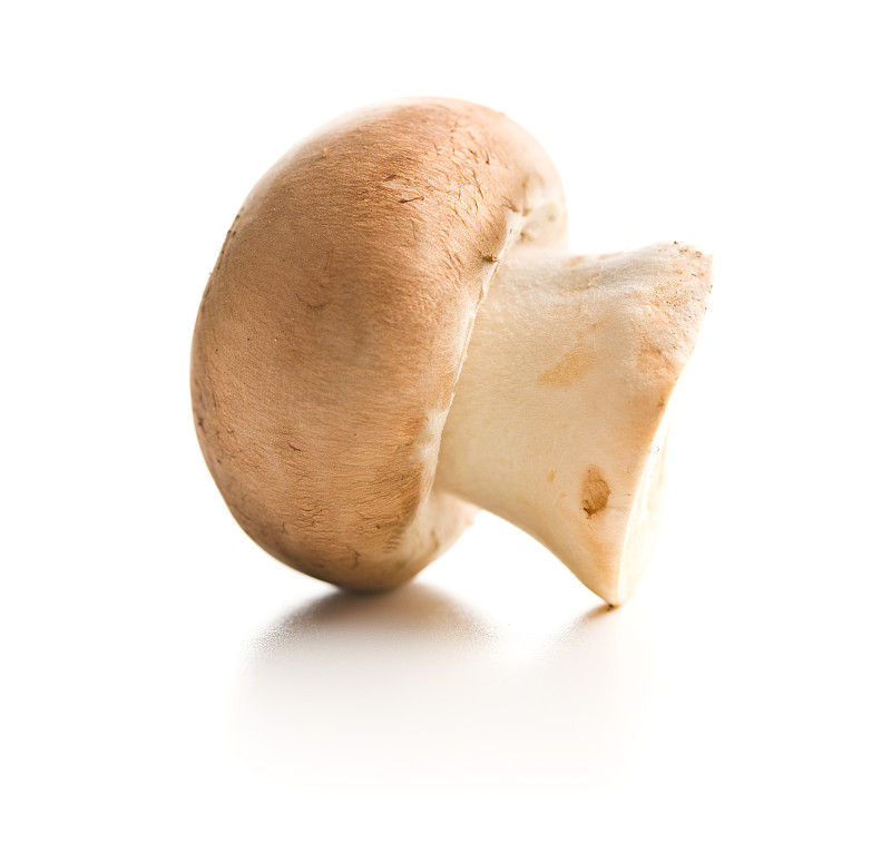 什么新鲜的蘑菇。