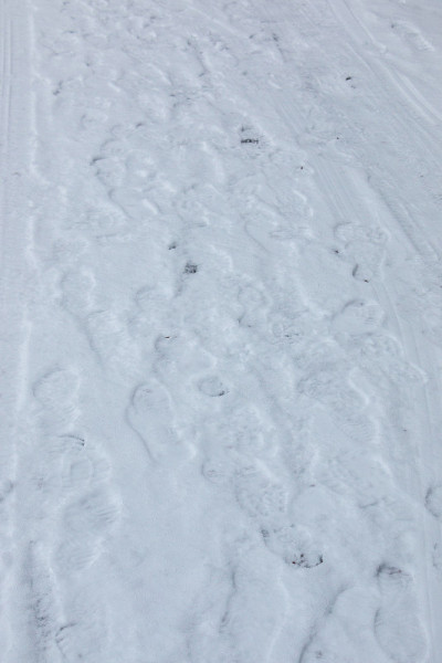 白雪上有人的鞋印