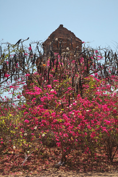 Phan Thiet的Poshanu Cham塔。越南