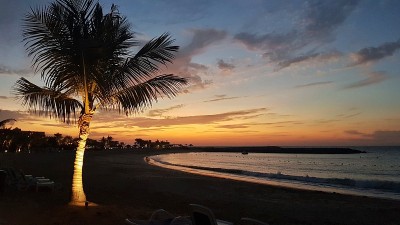 棕榈树海滩日落