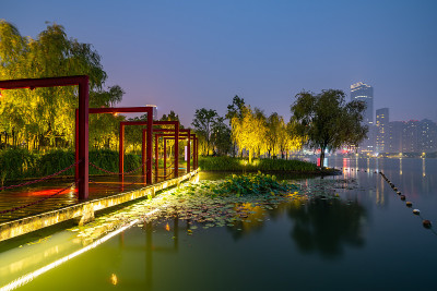 合肥市政务中心夜景