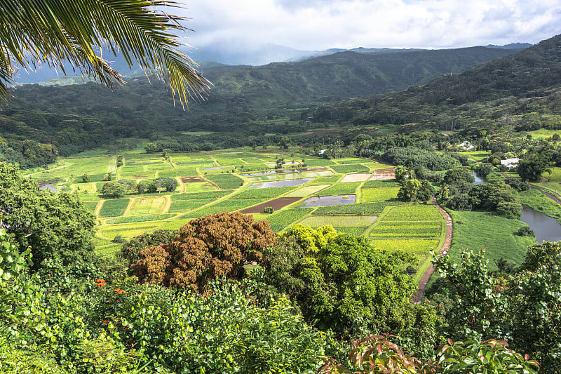 哈纳雷山谷，考艾岛，夏威夷