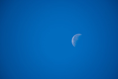 在白天，你可以看到月亮被太阳照亮，在蔚蓝的天空没有云
