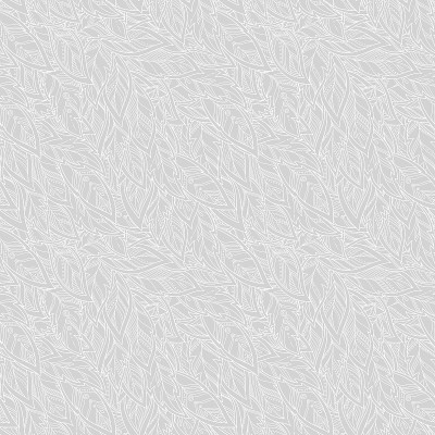 向量羽毛背景
