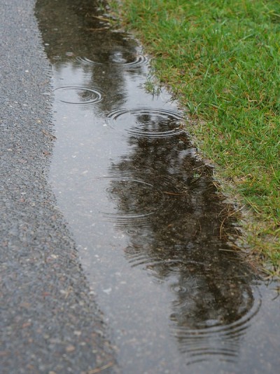 雨