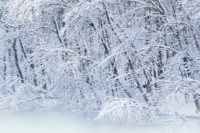 卡拉马祖河沿岸降雪