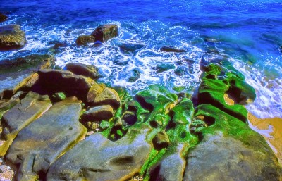 台湾北部海岸风光，野柳海岸线