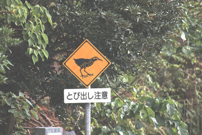 雁巴鲁奎那铁路濒危鸟类过境标志