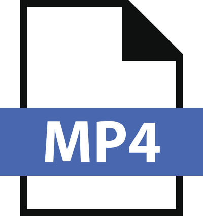 MP4类型