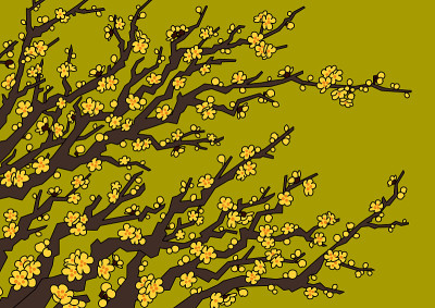 梅花(Chimonanthus praecox)插图