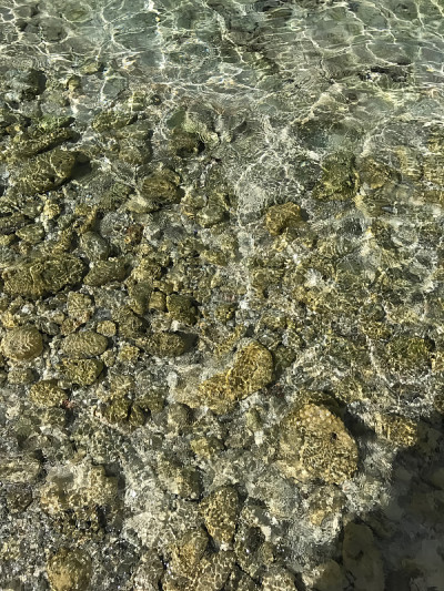 美丽的海