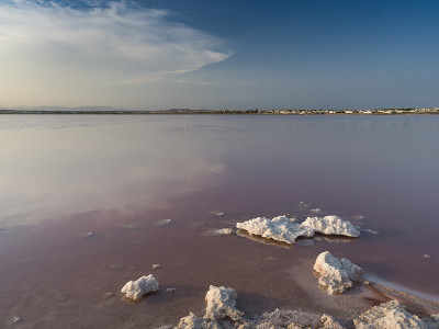 Torrevieja盐泻湖