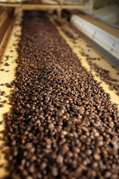 caffe
