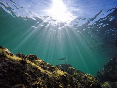 海洋光