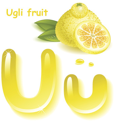 字母U