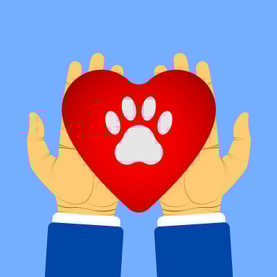 Heart_hand_1