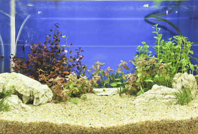 水族馆