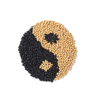 阴阳