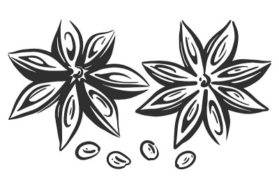 八角手绘。香料。矢量黑白插图