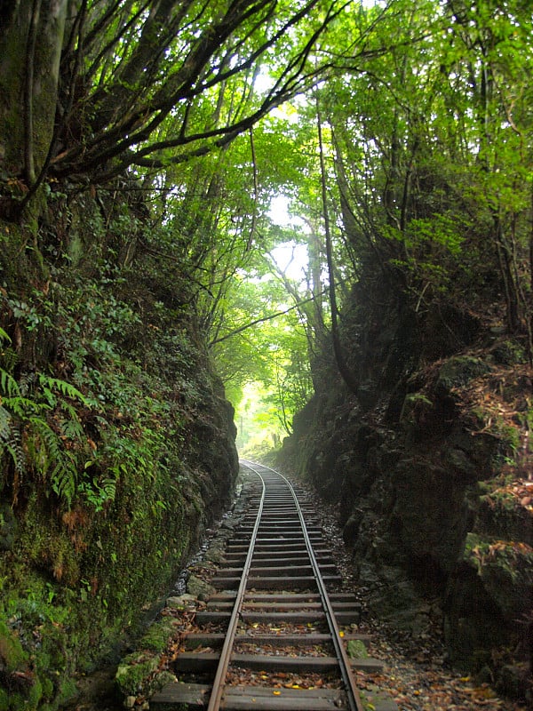 荒川之路