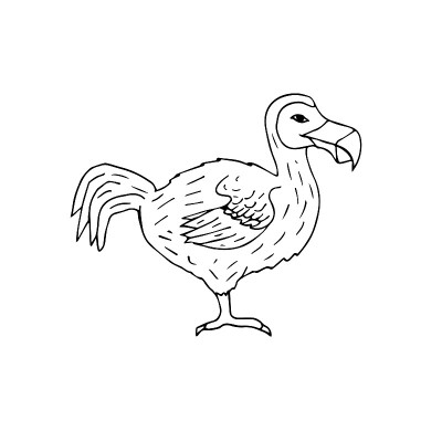 矢量手绘涂鸦素描渡渡鸟