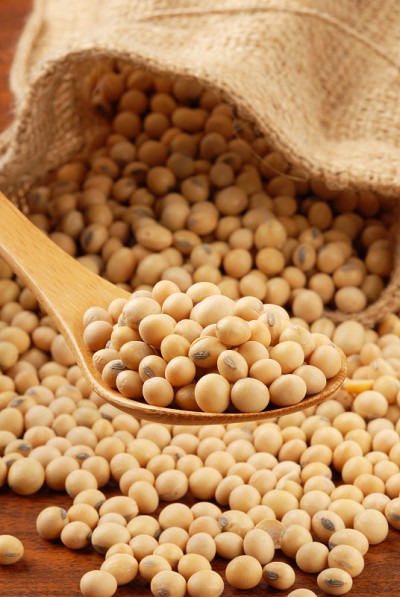 我是bean