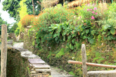 石头铺成的街道。Ghandruk-Nepal。0622