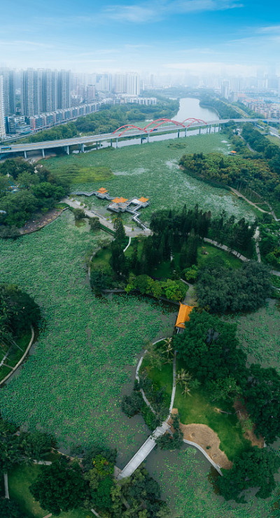 鸟瞰图美丽的公园深圳城市，中国