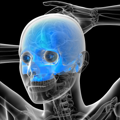 3d渲染医学插图的人类头骨