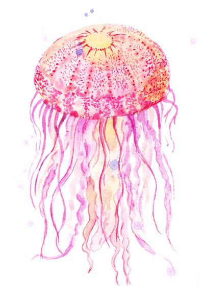水母水彩插图
