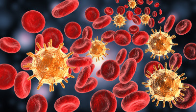 Virus in bloodstream