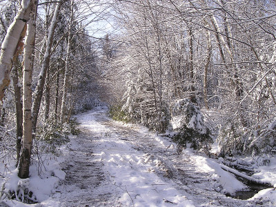雪落
