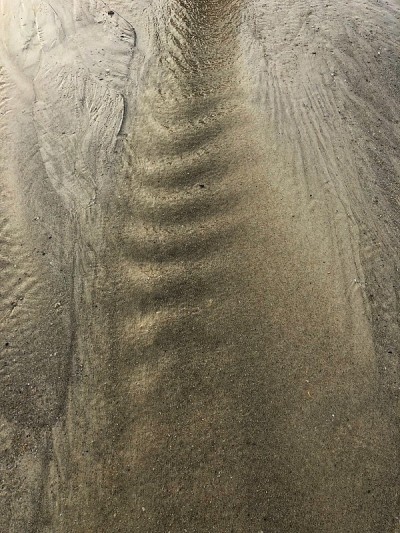 沙子