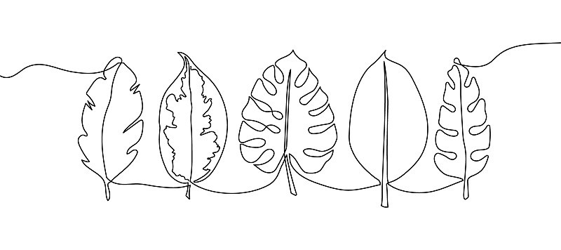 奇异叶连续线绘图集。一行艺术的香蕉棕榈叶，植物，药草，热带叶，丛林植物学。