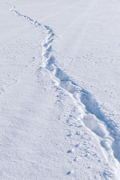 雪地上的足迹
