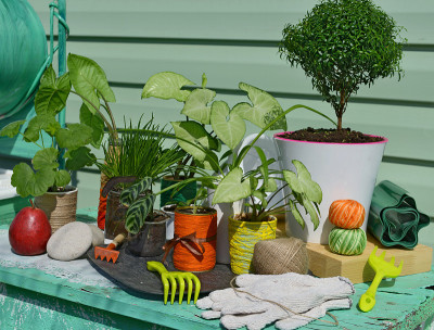 有绿色植物、耙子、手套和梨的静物画