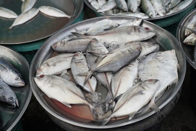 市场上的新鲜鱼