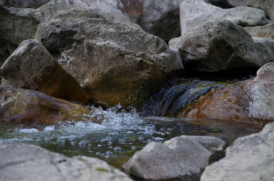 河道
