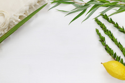 犹太人住棚节。传统符号(四种):Etrog, lulav, hadas, arava。