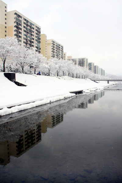下雪天的公园风景。