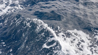 加州沿岸水域格局