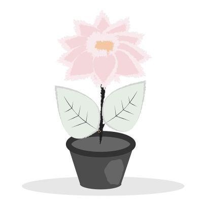 原来花盆里的花