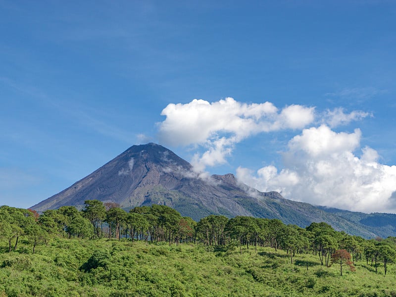 活火山四周环绕着绿色的森林