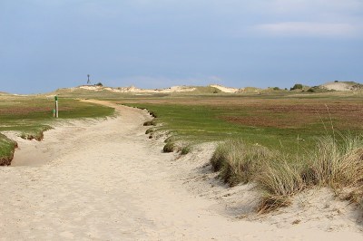 Dünenlandschaft