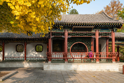 秋天，公园里有中国古建筑的阁楼和银杏树